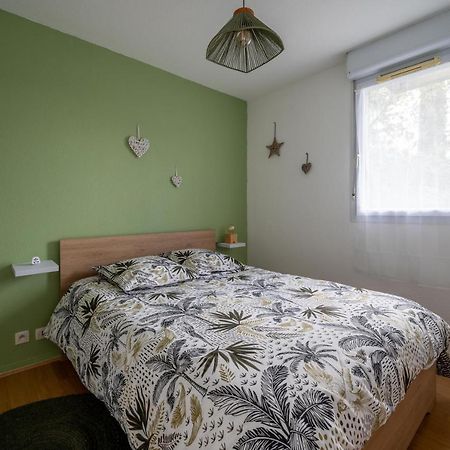 L'Airbusien - Terrasse Et Parking - Airbus A Cote Apartment Colomiers Ngoại thất bức ảnh